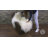 Sheepskin Rug - Natural White