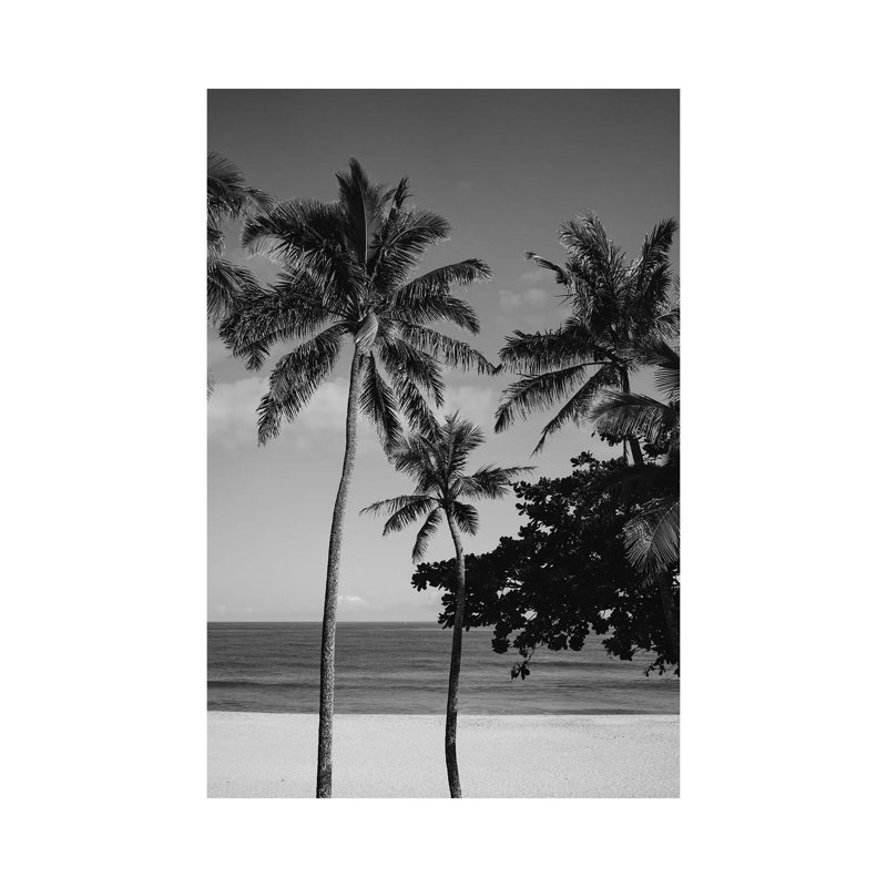 Hawaiian Palms V by Bethany Young - Print on Canvas, 66.04cm H x 45.72cm W x 3.81cm D, Wrapped Canvas