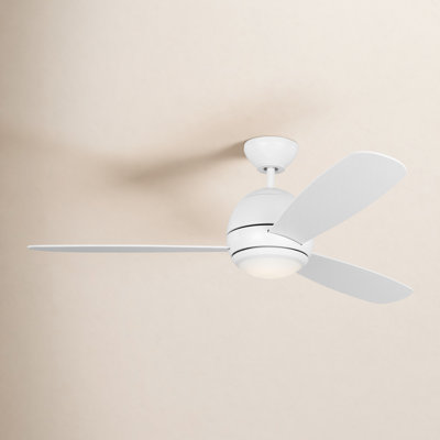 Erina 52" Ceiling Fan with Light Kit
