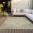 Nayelin Washable Oriental Indoor / Outdoor Rug-923093255