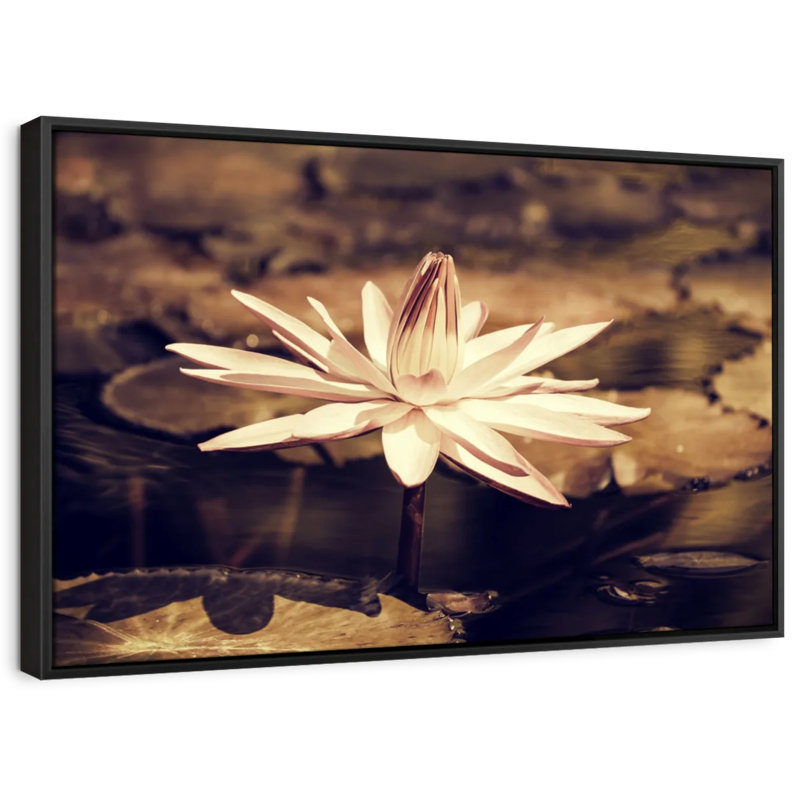 Floral et botanique "Fleur de lotus sépia", H 13 po x l 19 po