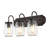  Roo Farmhouse Industrial Iron Mason Jar LED Vanity
