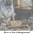 Shar Pei Fall Kitchen Pumpkins Glass Cutting Board Large