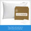 Waterproof Pillow Protector 2 Pack