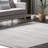 Romolo Abstract Indoor Rug-789253430