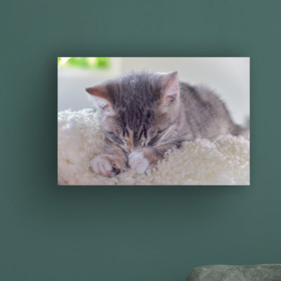 «Sleeping Kitten» par Cora Niele - photographie sur toile tendue