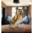 Long Eared Owl 14"