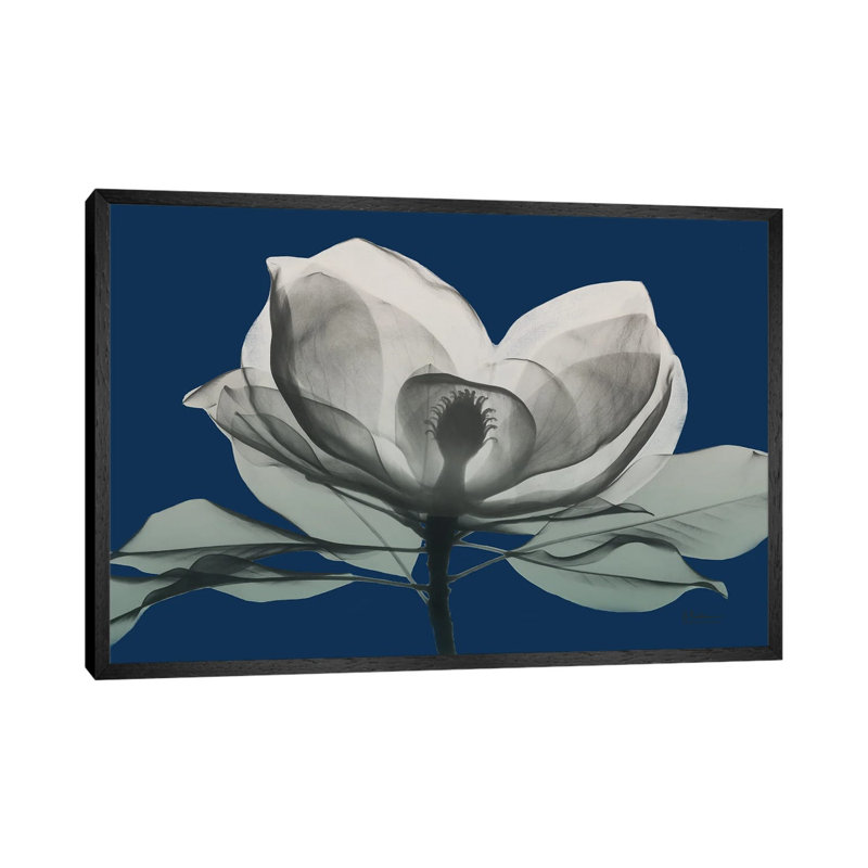 Navy Magnolia I by Albert Koetsier - Gallery-Wrapped Canvas Giclée on Canvas, 66.04 cm H x 45.72 cm W, Black Framed