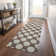  Colturo Area Rug