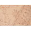 Tapis beige rectangulaire en laine noué à la main 6 pi x 8 pi 11 po Baccio