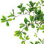 Faux Foliage Tree-778791663
