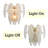 Kearius Recessed Wall Light