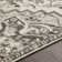 Minneapolis Oriental Indoor Rug