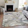 Machine Washable Indoor/Outdoor Colman ACN2162 Modern Rug