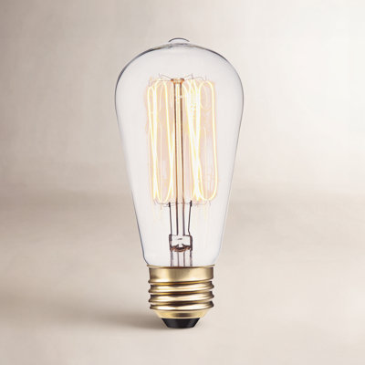 60W ST19 Incandescent Dimmable Bulb