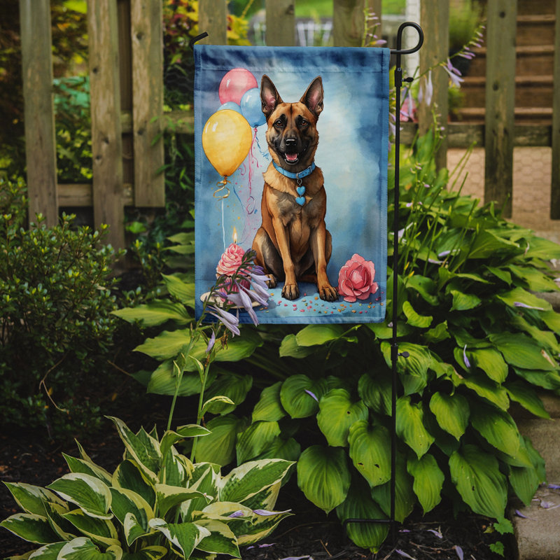 Drapeau de jardin «Happy Birthday», Malinois belge