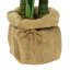 Palmier artificiel en pot-1203429319