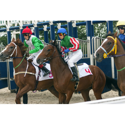 " Start Horse Racing "