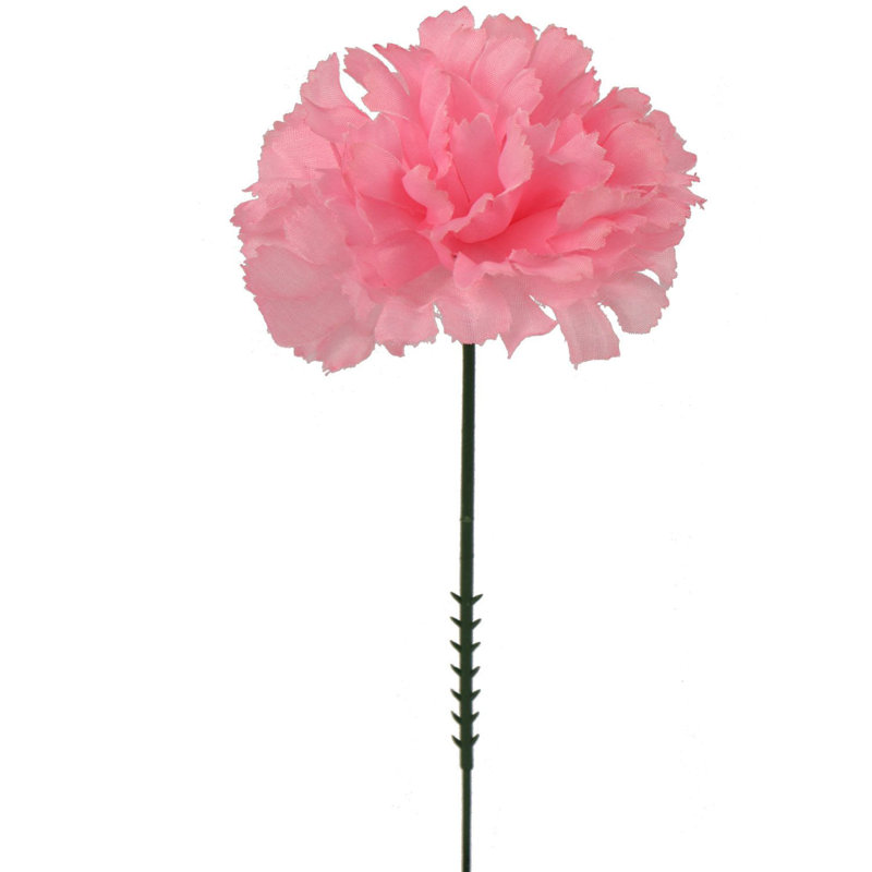 Tige d'œillet, Rose