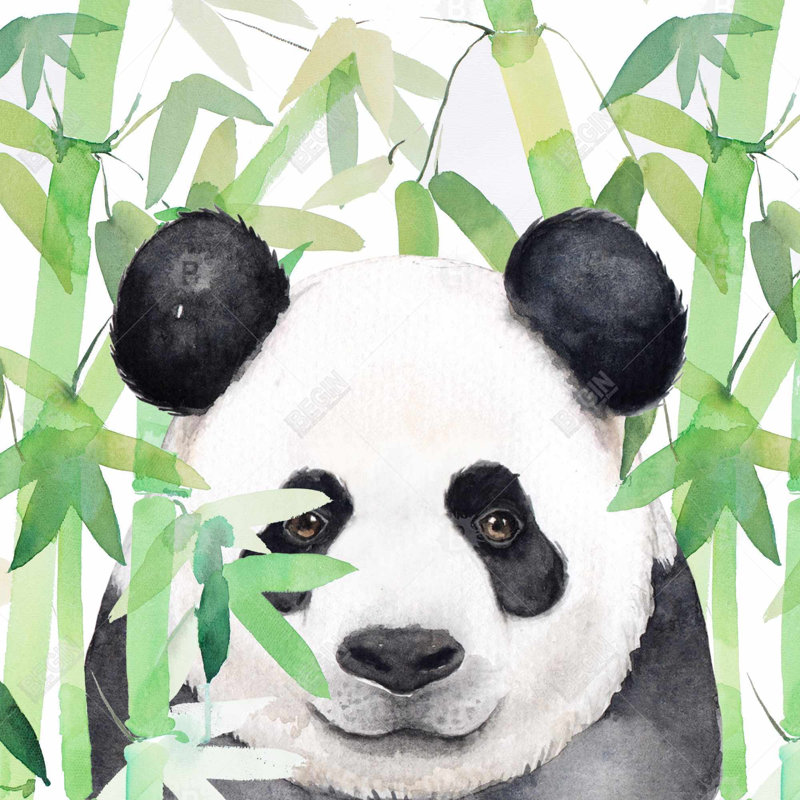 " Hidden Panda In Bamboo "