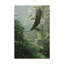 «Morning Flight Eagle» par Etelca, impression sur toile tendue-27646767