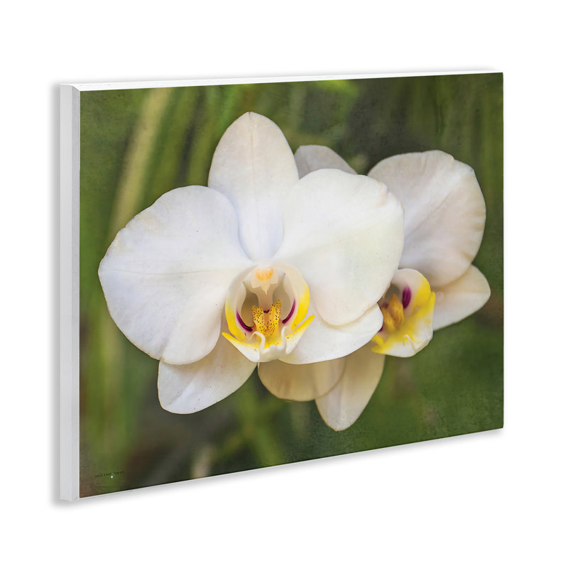 Plaque murale Orchid Blossom Glow, design par Seven Trees Design