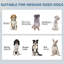 Appareil d'alimentation pour chien avec bols cachés, panneau réglable, crochets pour chiens de taille moyenne, crochets noirs de la collection moyenne,