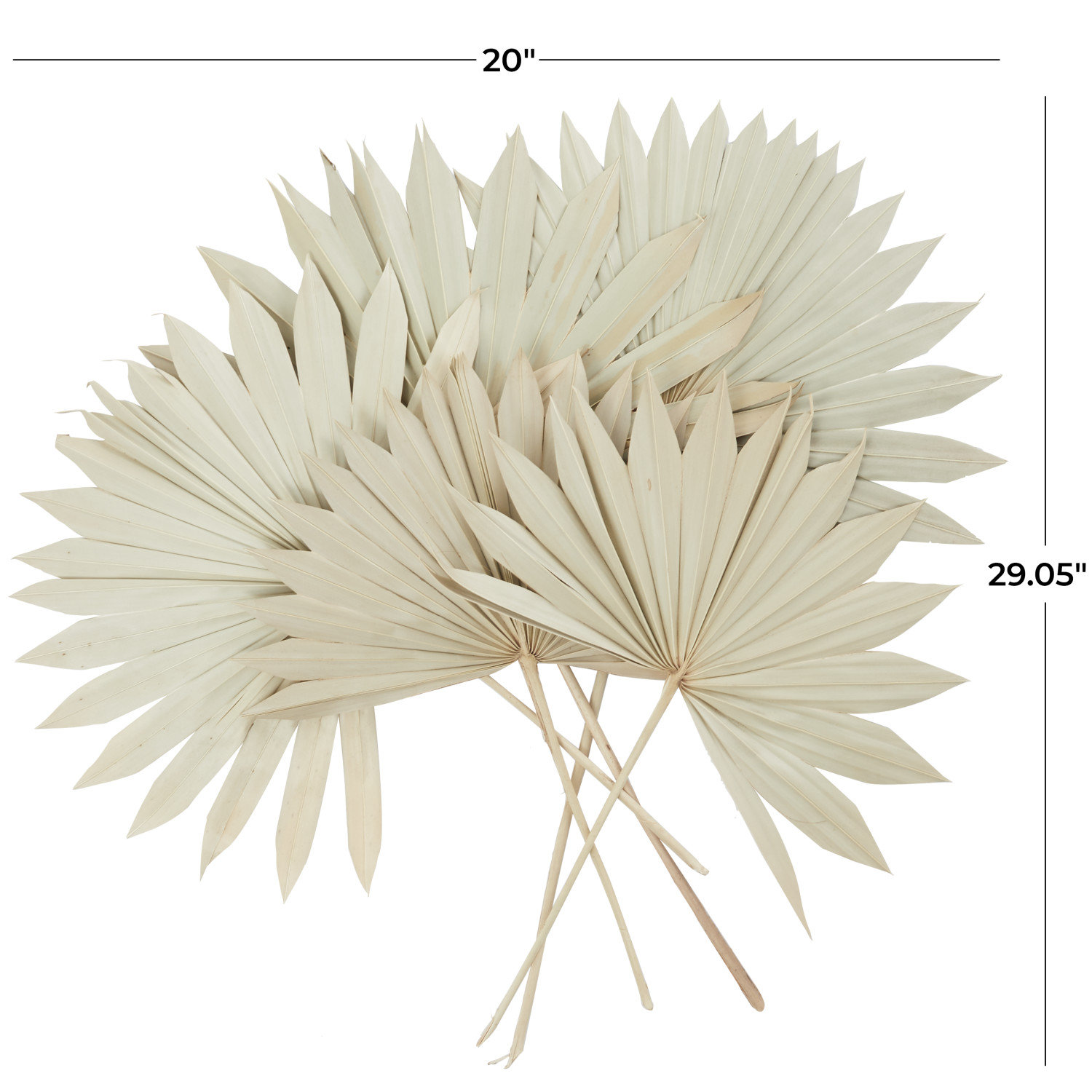 Dried Plant Vase Filler