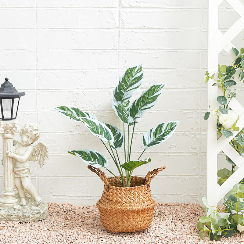 54.5cm Faux Devil's Ivy (Scindapsus Aureus) Plant in Pot