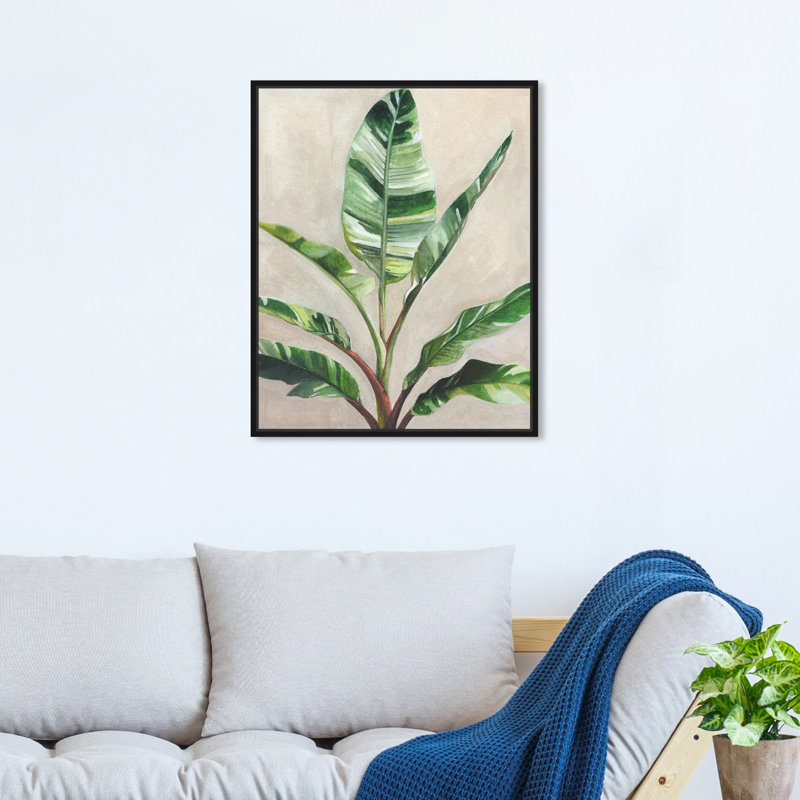 Jolies plantes II - Impression sur toile, Toile avec cadre flottant noir, H 21 po x l 17 po x P 1,8 po
