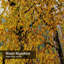 Rideau de douche Autumn Trees-1006747508