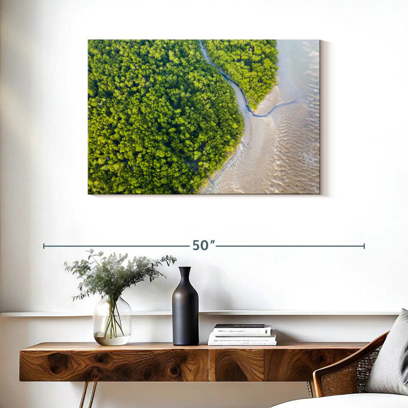 Alvord Dense Amazon Rainforest