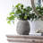 Payette Ceramic / Porcelain Table Vase Decorative Terracotta Vases-1379144172