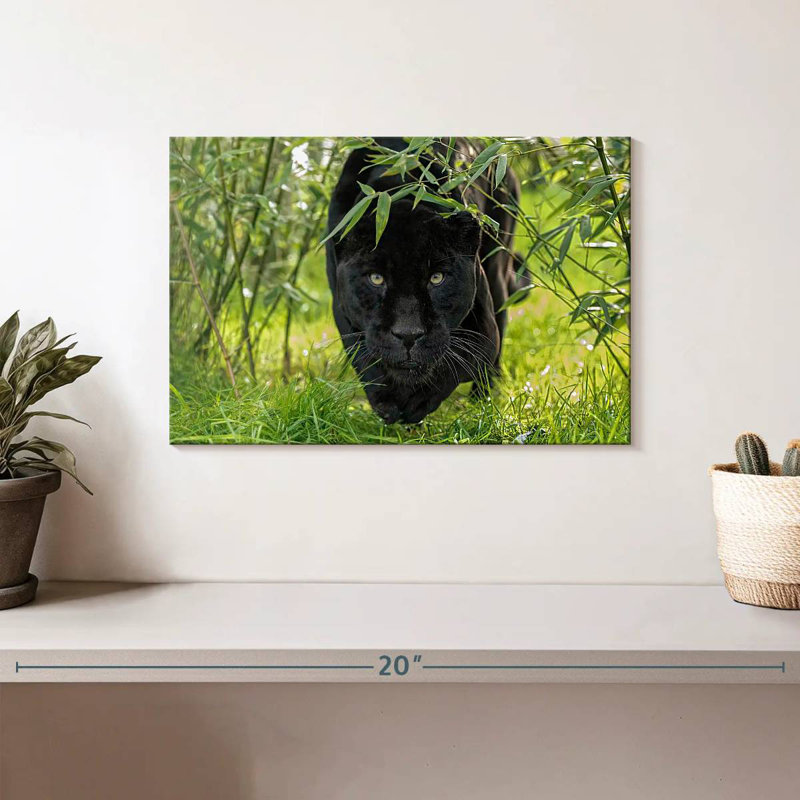 Brampt Lurking Black Jaguar, 8" H x 12" W