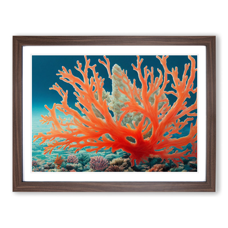 The Coral Reef Vol.1 - Single Picture Frame Print, 46cm H x 64cm W, Walnut