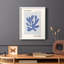 Matisse CCL XXIV, reproduction encadrée - bois massif-729267170-729267173