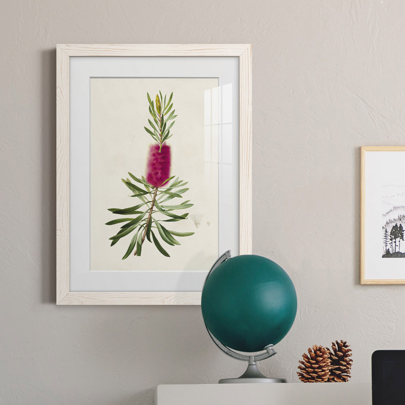 «Pretty Botanicals VII», impression encadrée, Cadre blanc, H 44 po x l 31 po x P 1 po