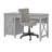 Ozro Computer Desk-872298948