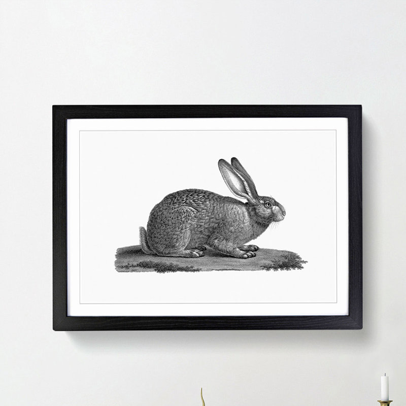 Illustration of a Hare - Framed Print, 48cm H x 65cm W x 2cm D, Black Framed