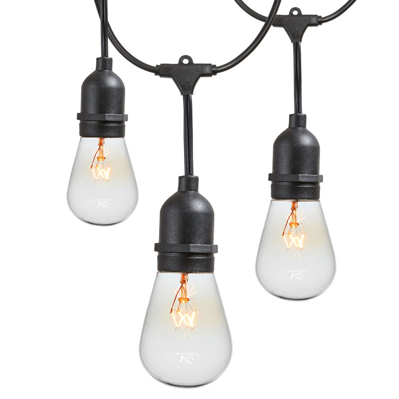 Taft Outdoor 15 - Bulb 576'' Plug-in String Light