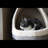 Francklyn Portable Insulated Igloo Style Dog House