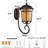 Daneil Oil Rubbed Bronze 7.17'' H Amber Glass Outdoor Wall Lantern
