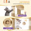 Cat Tree for Indoor Cats, Large Tall Cat Tower, Multi-Level Cats House with Condo, 8 Scratching Posts, Hammock, 4 Pom Poms-1524307183-1526342314
