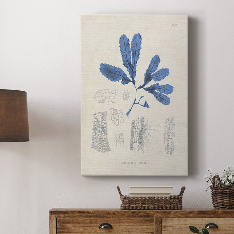 Blue Marine Algae VII - Gallery Cavas, H 12 po x l 8 po