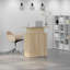 Baheerathan Standing Desk-1102109498
