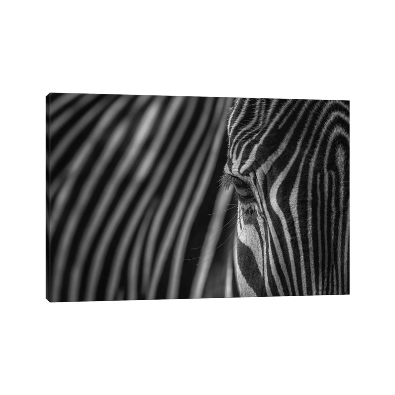 Simple Pattern - Camouflage Black And White by Louis Ruth - Wrapped Canvas Print, 20.32 cm H x 30.48 cm W