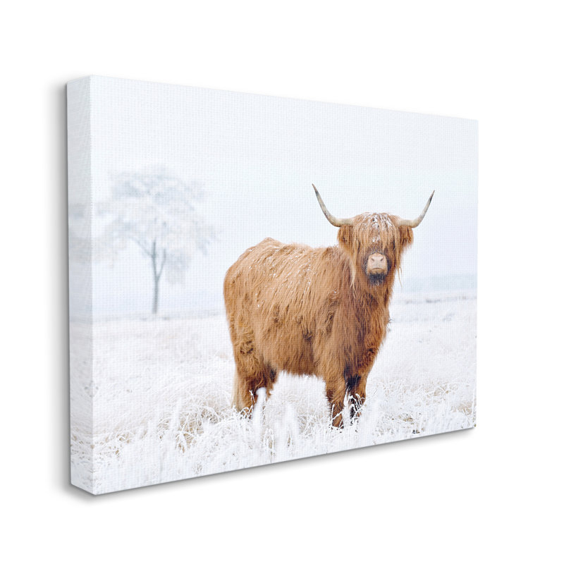«Highland Cow in Snow On Canvas» par Krista Broadway, H 16 po x l 20 po x P 1,5 po