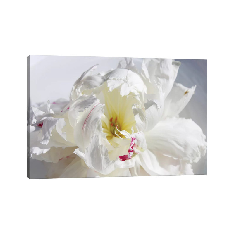 Breathless IV by Irena Orlov - Wrapped Canvas Print, 20.32cm H x 30.48cm W x 1.91cm D