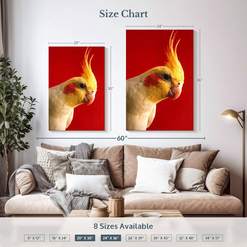 Cockatiel Brampt Lutino, H 36 po x l 24 po