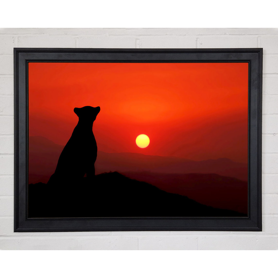 Panther Sunset - Einzelbildrahmen Druck auf Papier